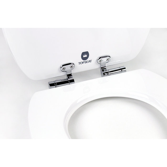 Topseat Art of Acryl Sandy Slow Close Elongated Toilet Seat & Reviews Wayfair